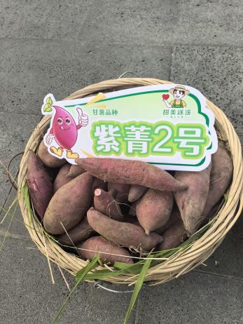 pp������Ϸģ����(����)�ٷ���վ